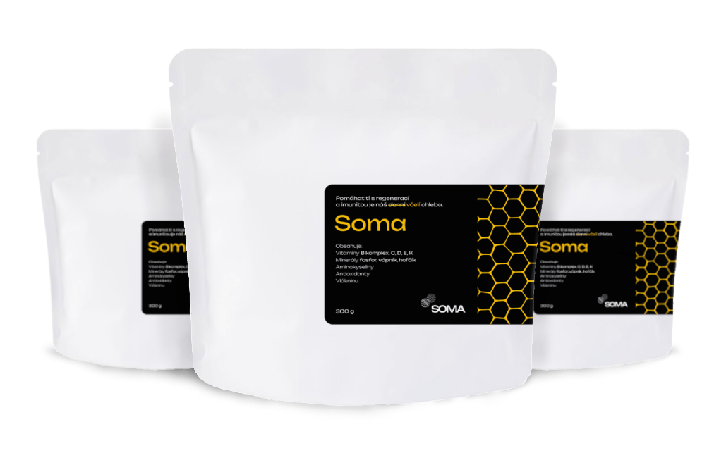 SOMA SOMA